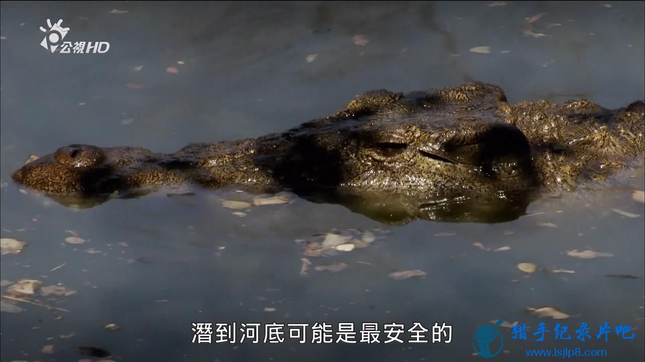 ١BBC.The.Secret.World.Of.Crocodiles.With.Ben.Fogle720p.HDTV.jpg