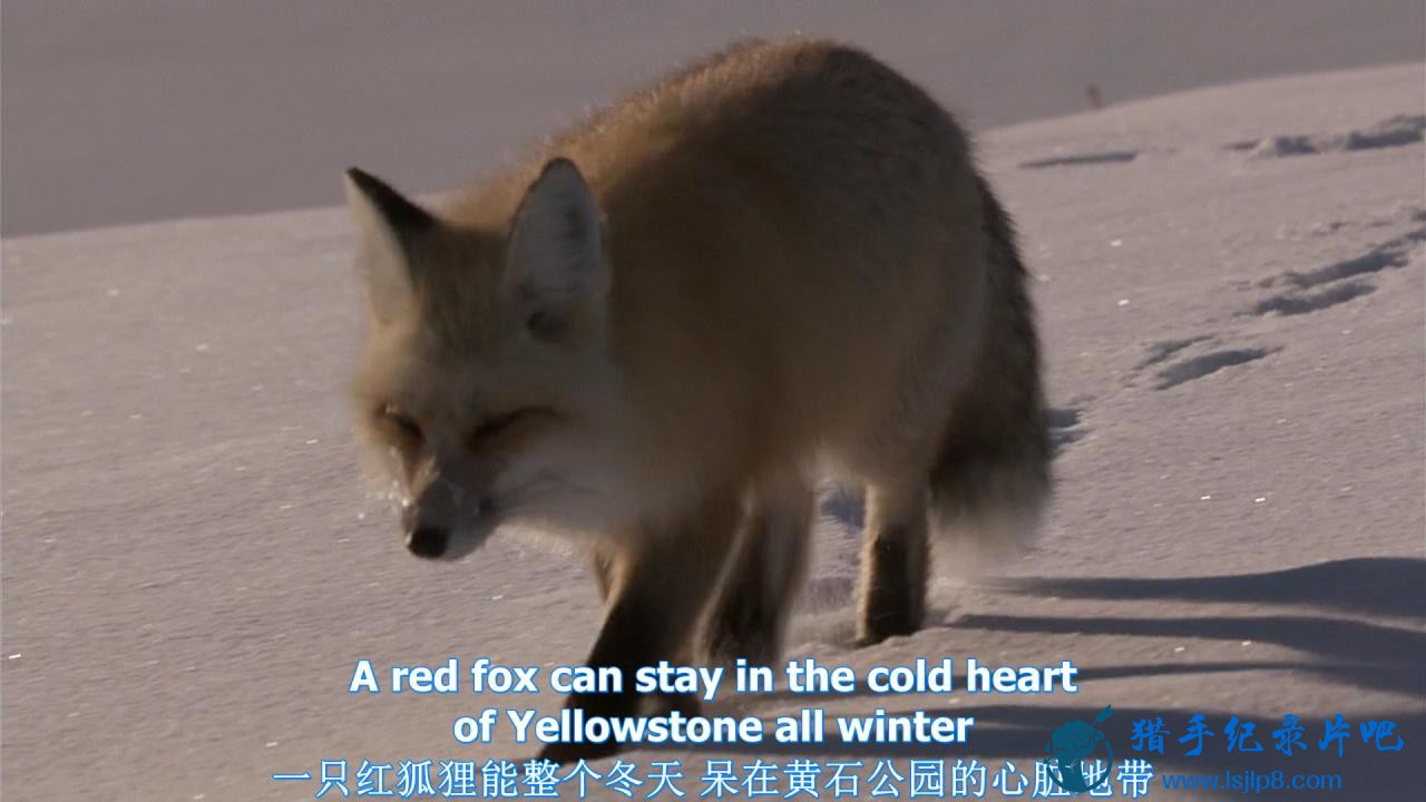 [ʯ԰-].Yellowstone.S01E01.Winter.HDTV.720p.x264.AC3-CMCT_20180307173946.JPG