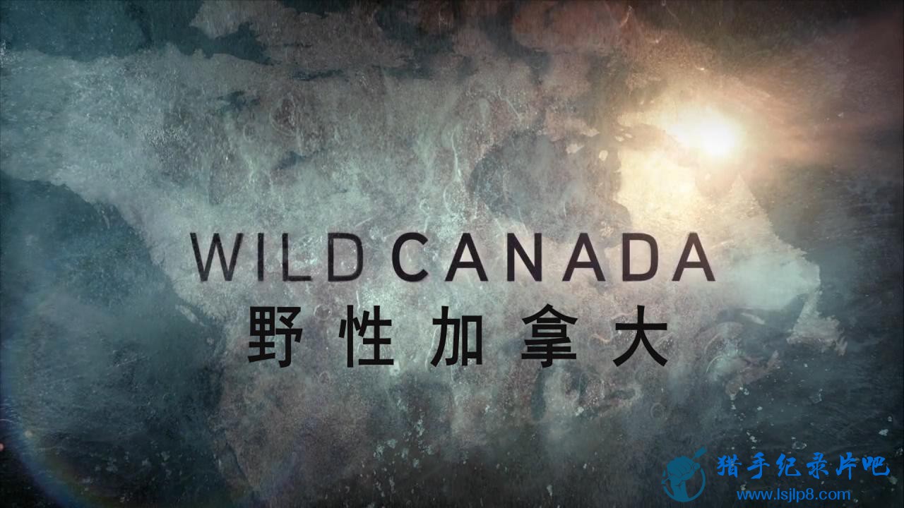 Wild.Canada.1of5.The.Eternal.Frontier.720p.HDTV.x264.AAC.MVGroup.org_20180425165312.JPG
