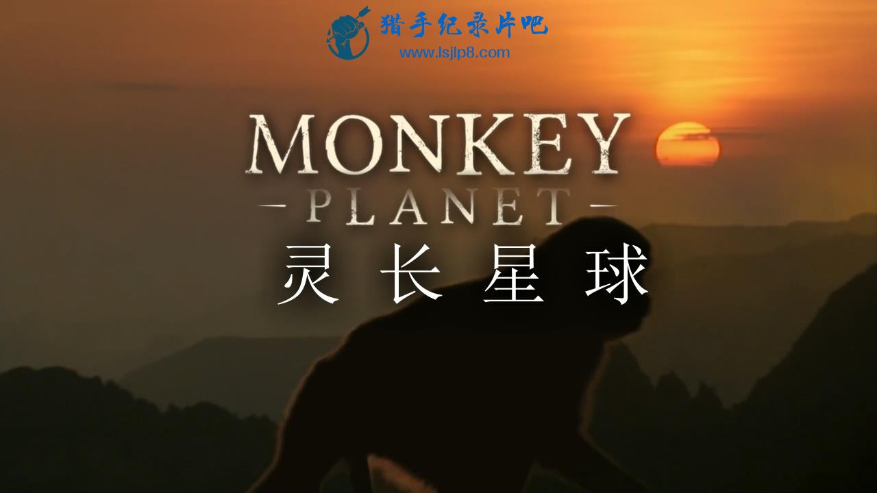 Monkey.Planet.S01E01.720p.HDTV.x264-FTP_20200326191845.JPG