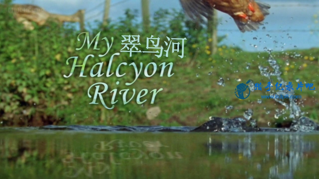 BBC.Natural.World.2002.My.Halcyon.River.720p.HDTV.x264.AAC.MVGroup.org.mkv_20200.jpg