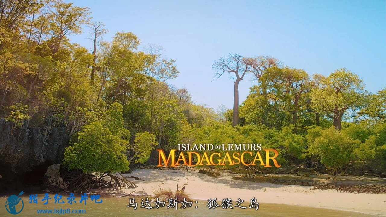 [˹ӣ֮].Island.Of.Lemurs.Madagascar.2014.BluRay.720p.x264.AC3-CMC.jpg