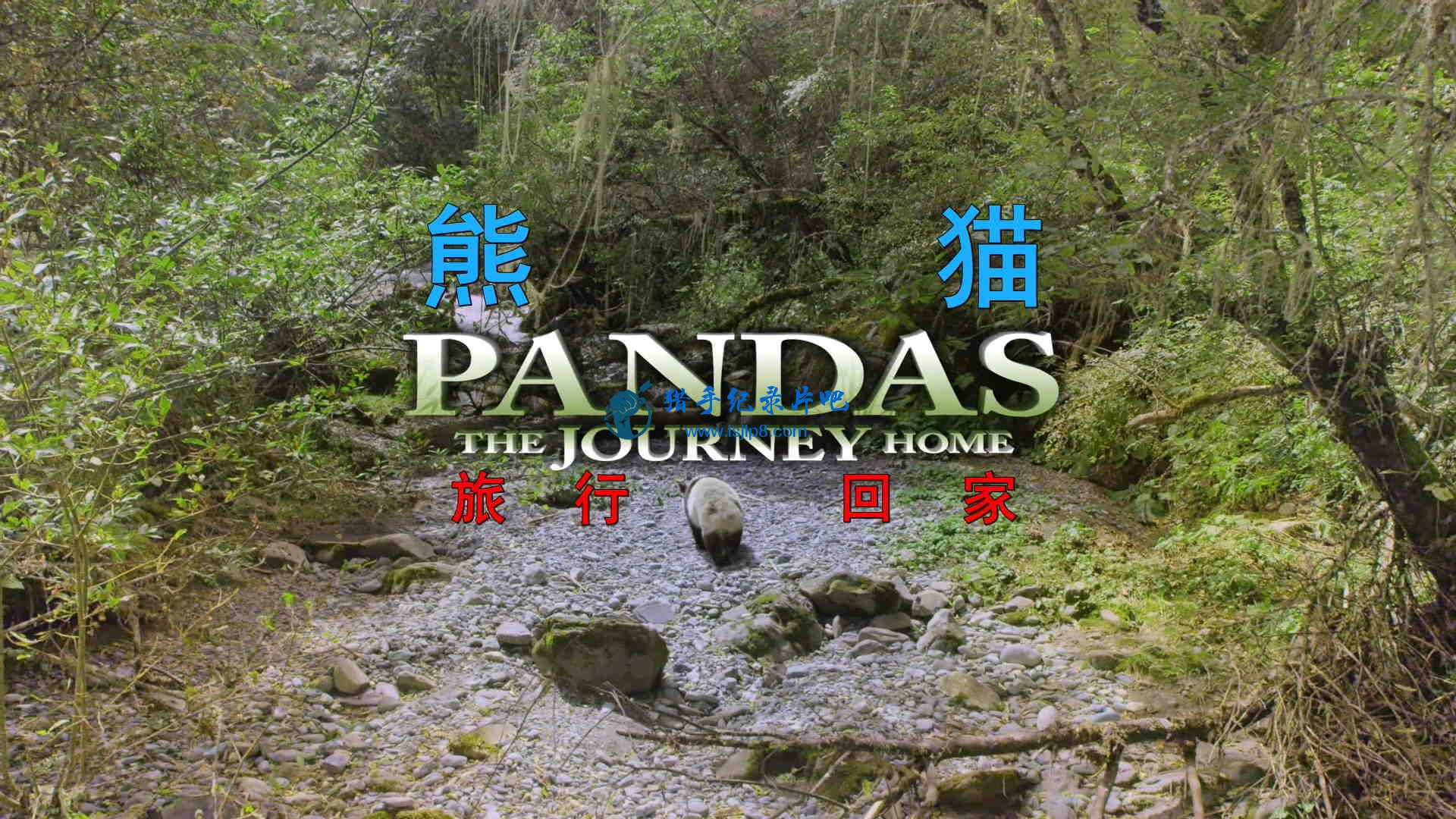 Pandas.The.Journey.Home.2014.1080p.BluRay.x264-SADPANDA.mkv_20200723_085113.737_ͼ.jpg