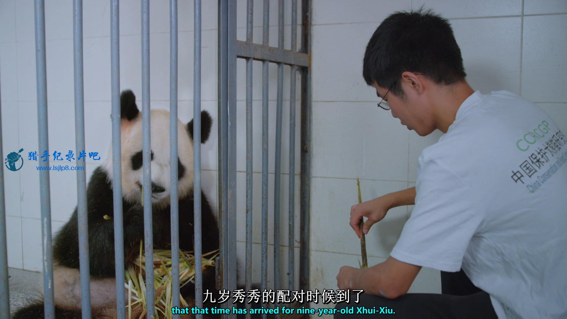 Pandas.The.Journey.Home.2014.1080p.BluRay.x264-SADPANDA.mkv_20200723_085128.233_ͼ.jpg