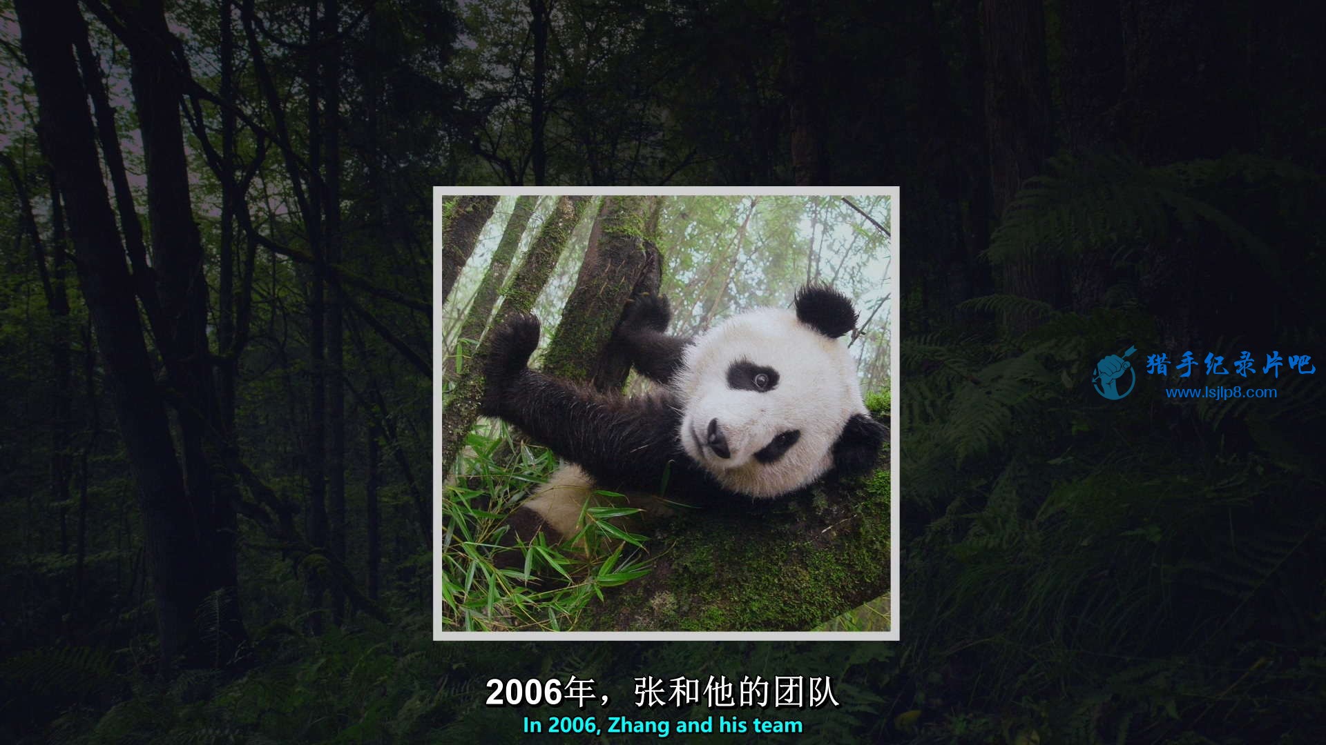Pandas.The.Journey.Home.2014.1080p.BluRay.x264-SADPANDA.mkv_20200723_085236.513_ͼ.jpg