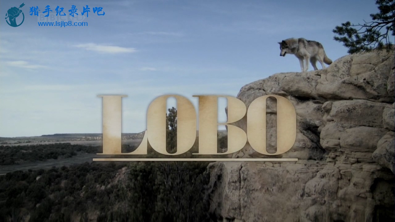 BBC.Natural.World.2008.Lobo.The.Wolve.that.Changed.America.HDTV.x264.720p.AC3.MV.jpg