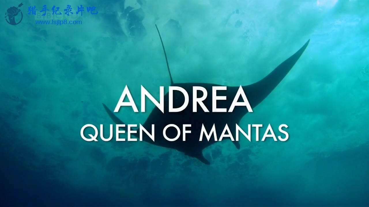BBC.Natural.World.s29e03.Andrea.-.Queen.Of.Mantas.2009.HDTV.720p.x264.AC3.mkv_20.jpg
