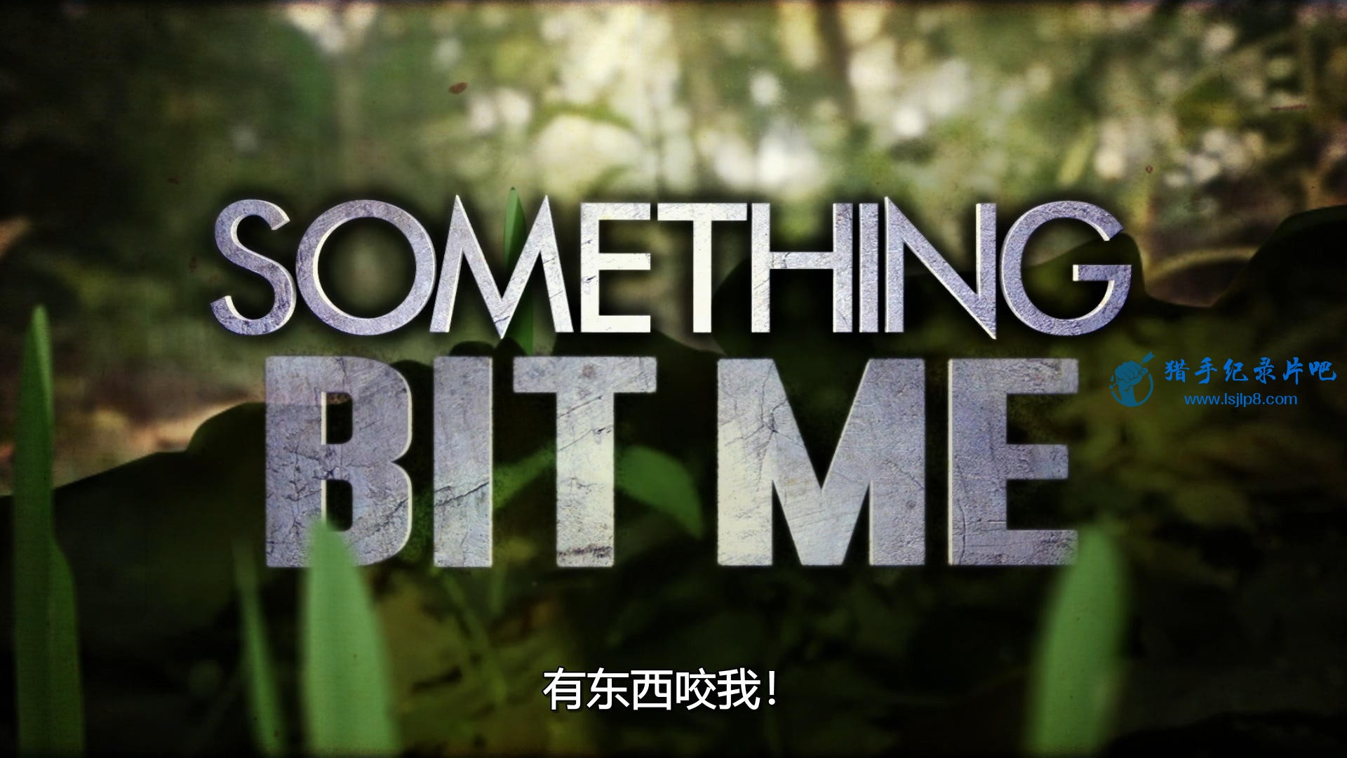 Something.Bit.Me.S01E01.This.is.Not.a.Deer.1080p.DSNP.WEB-DL.DDP5.1.H.264-SMURF.jpg