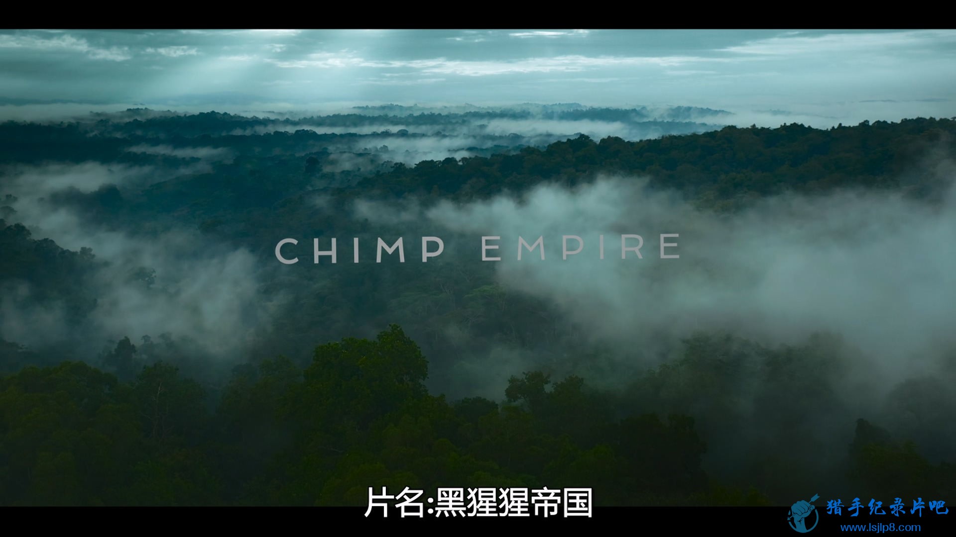 Chimp.Empire.S01E01.Paradise.1080p.NF.WEB-DL.DDP5.1.Atmos.H.264-WDYM.jpg