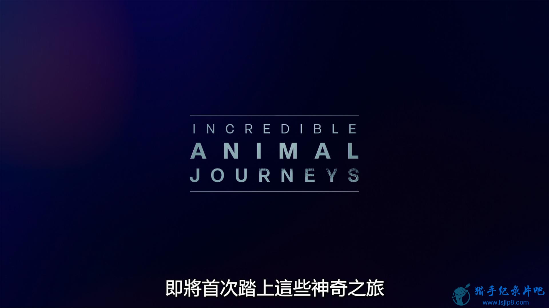 Incredible.Animal.Journeys.2023.S01E02.Chasing.the.African.Rains.2160p.DSNP.WEB-.jpg