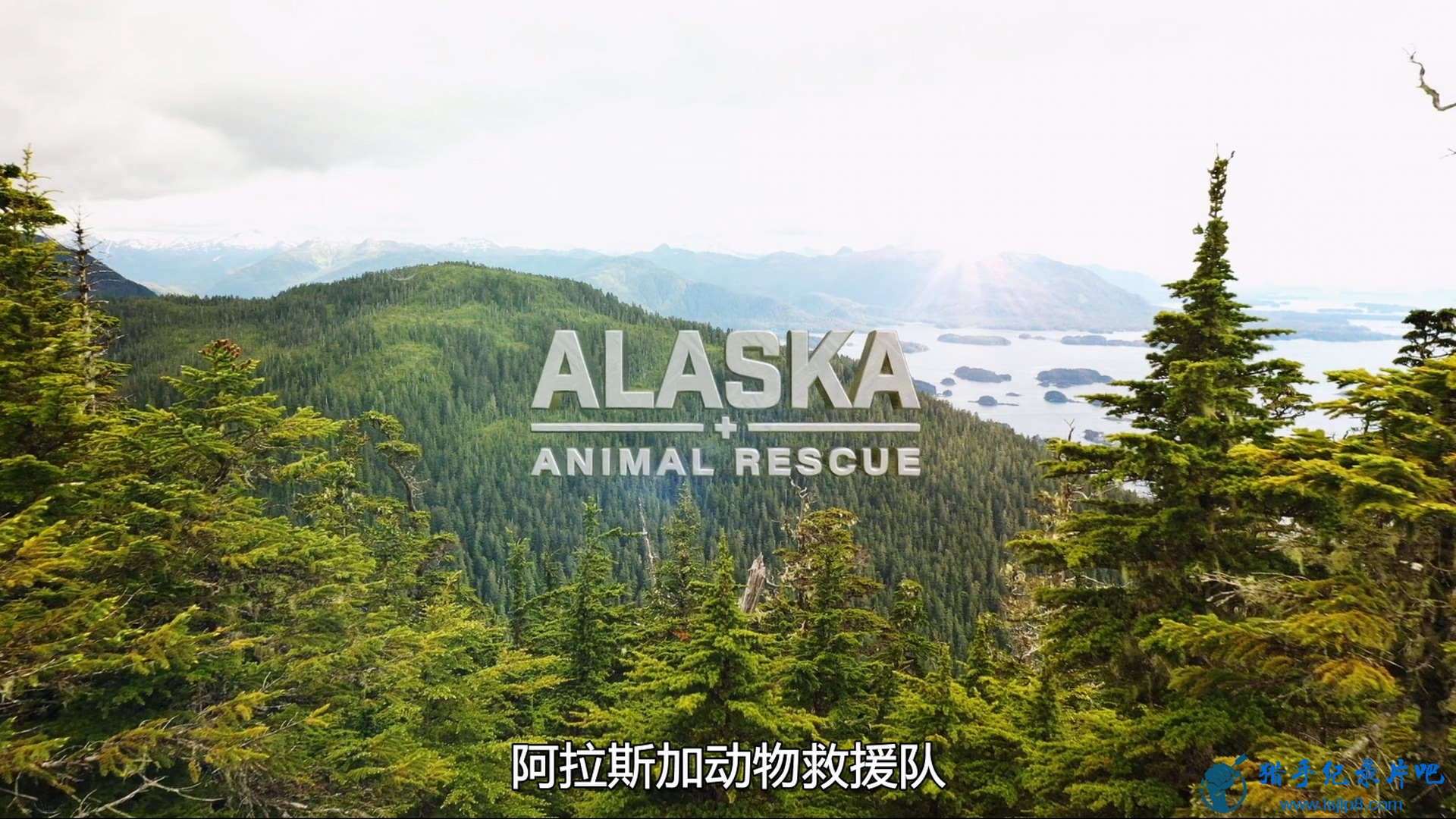 Alaska.Animal.Rescue.S01E01.1080p.DSNP.WEB-DL.DDP5.1.H.264-PlayWEB.jpg