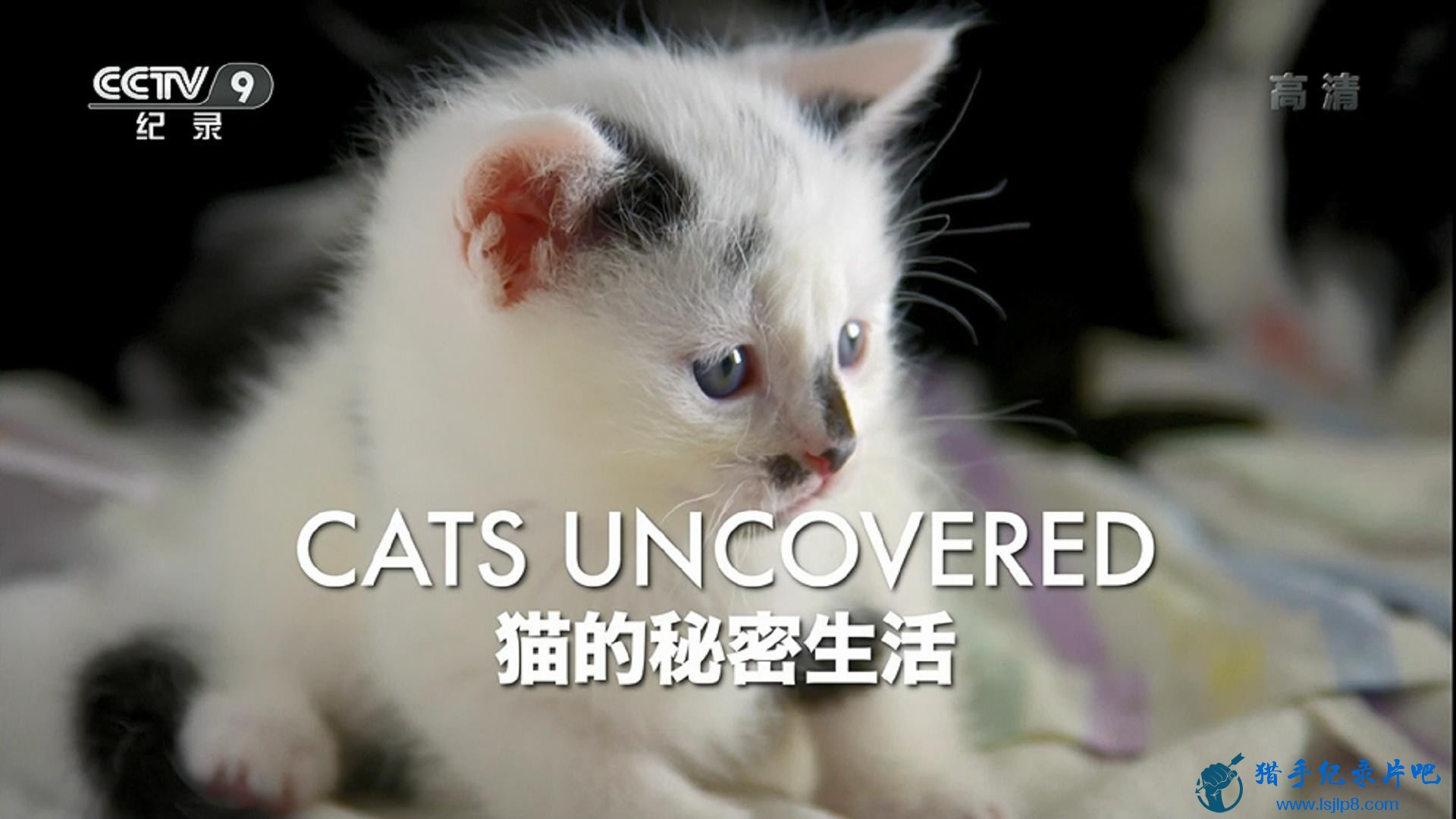 CCTV9 è Cats Uncovered (2017).EP01.èۿ A Cat's Eye View.1.jpg