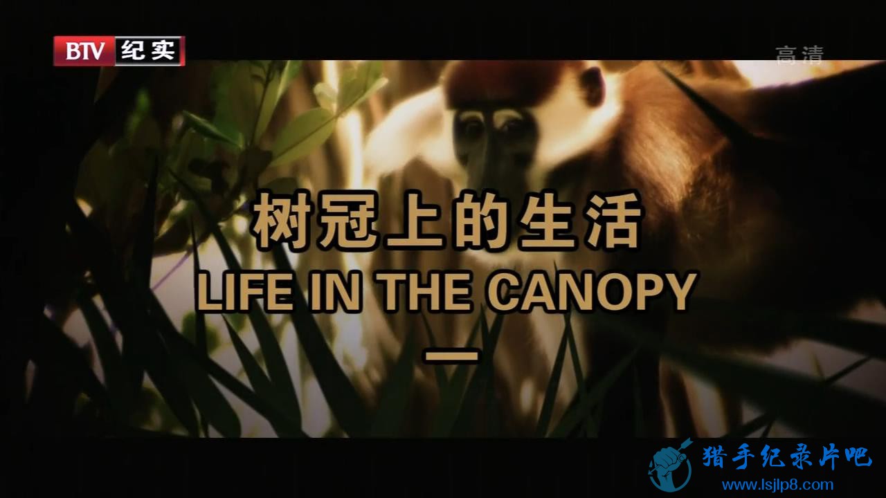 [ϵ].Life.In.The.Canopy.EP01.2012.HDTV.720p.x264.AAC-CMCT(1)_20180202132608.JPG