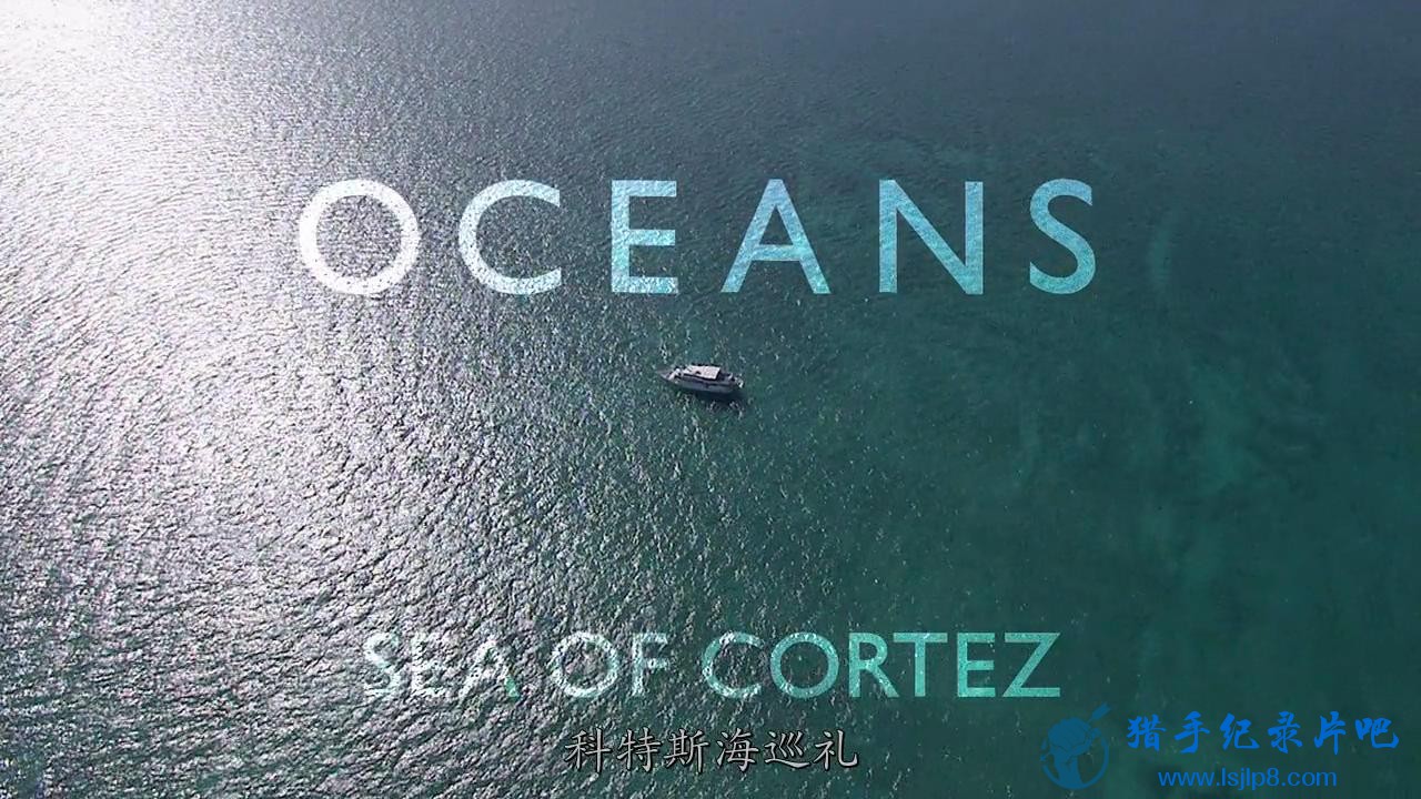 BBC.Oceans.2008.EP01.Sea.Of.Cortez._20180205172055.JPG