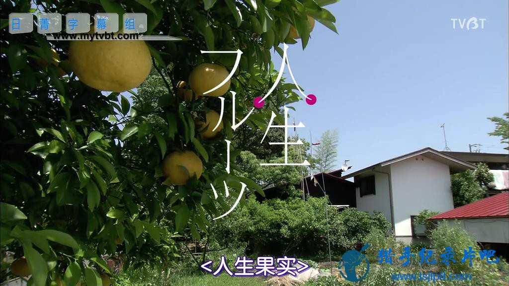 Jinsei Fruits_ChineseSubbed_20180208125923.JPG