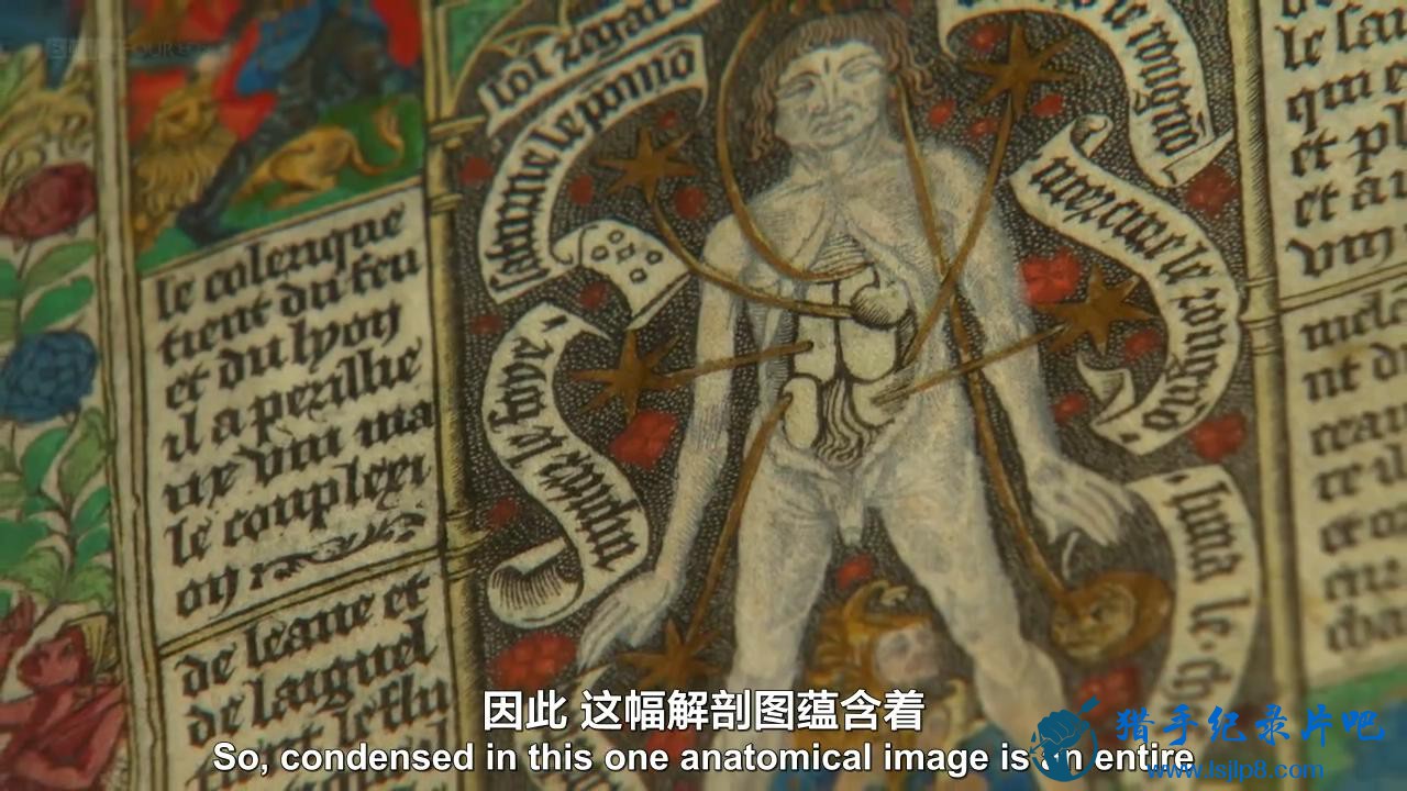 The.Beauty.of.Anatomy.1of5.Galen.and.Leonardo.720p.[XMQ]_20180305104515.JPG