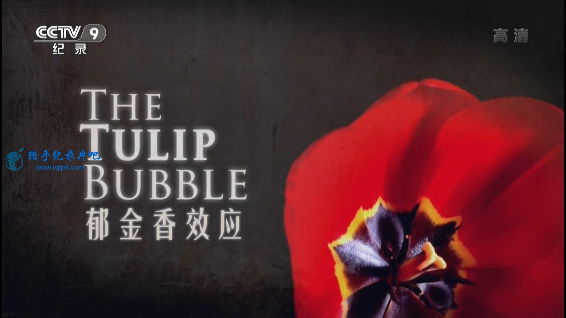 CCTV9.ЧӦ The Tulip Bubble (2012).20150315.1080P-jlp_20180416172127.JPG