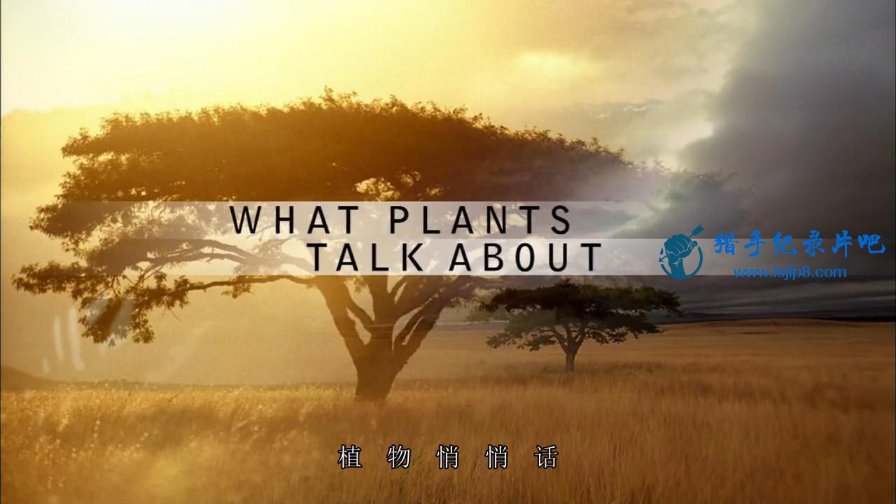 PBS.Nature.ֲĶԻ What Plants Talk About (2013).720p.x264.AAC.MVGroup.org_.jpg