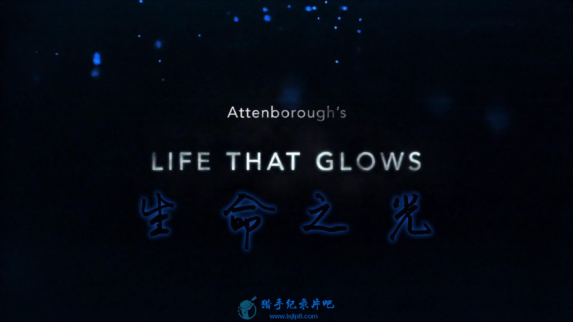 BBC.Attenboroughs.Life.That.Glows.1080p.HDTV.x264.AAC.MVGroup.org.1080p֮-.jpg