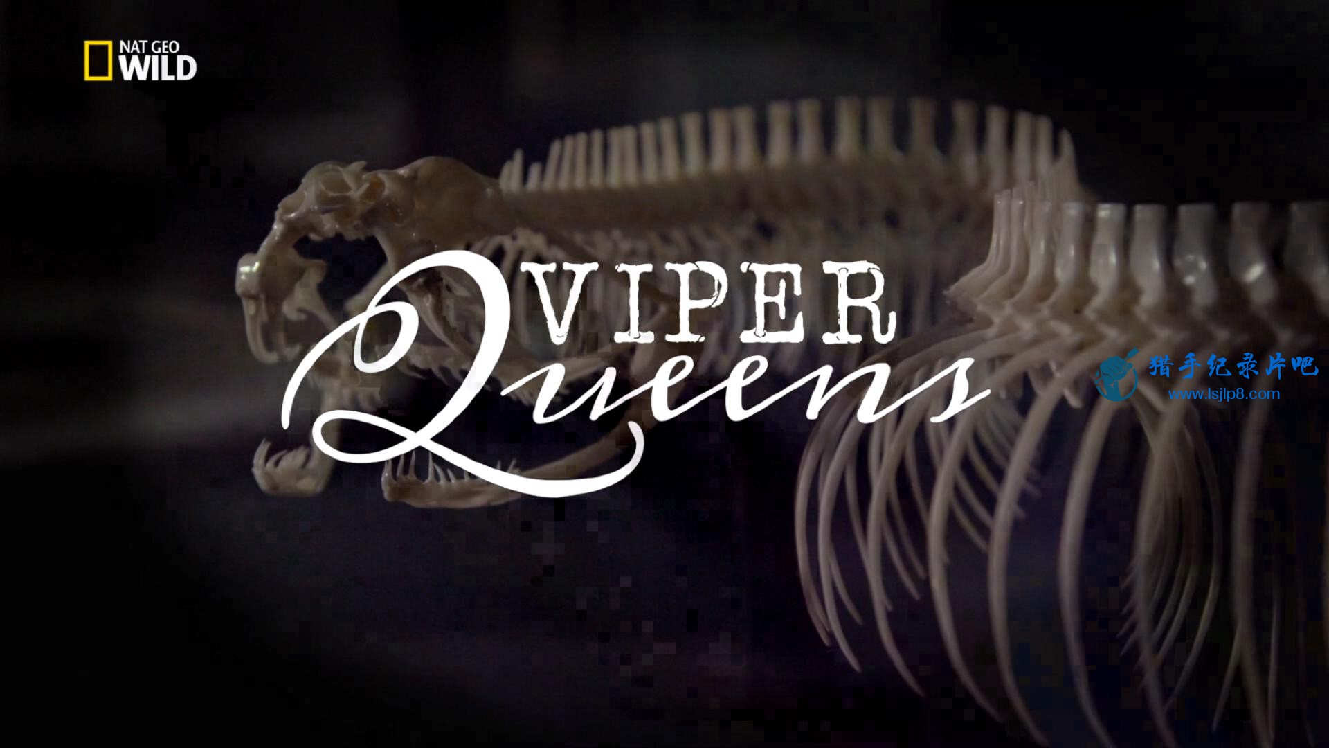 Viper.Queens.(2016).1080p.HDTV.Rus.Eng_HDCLUB_20180425173837.JPG