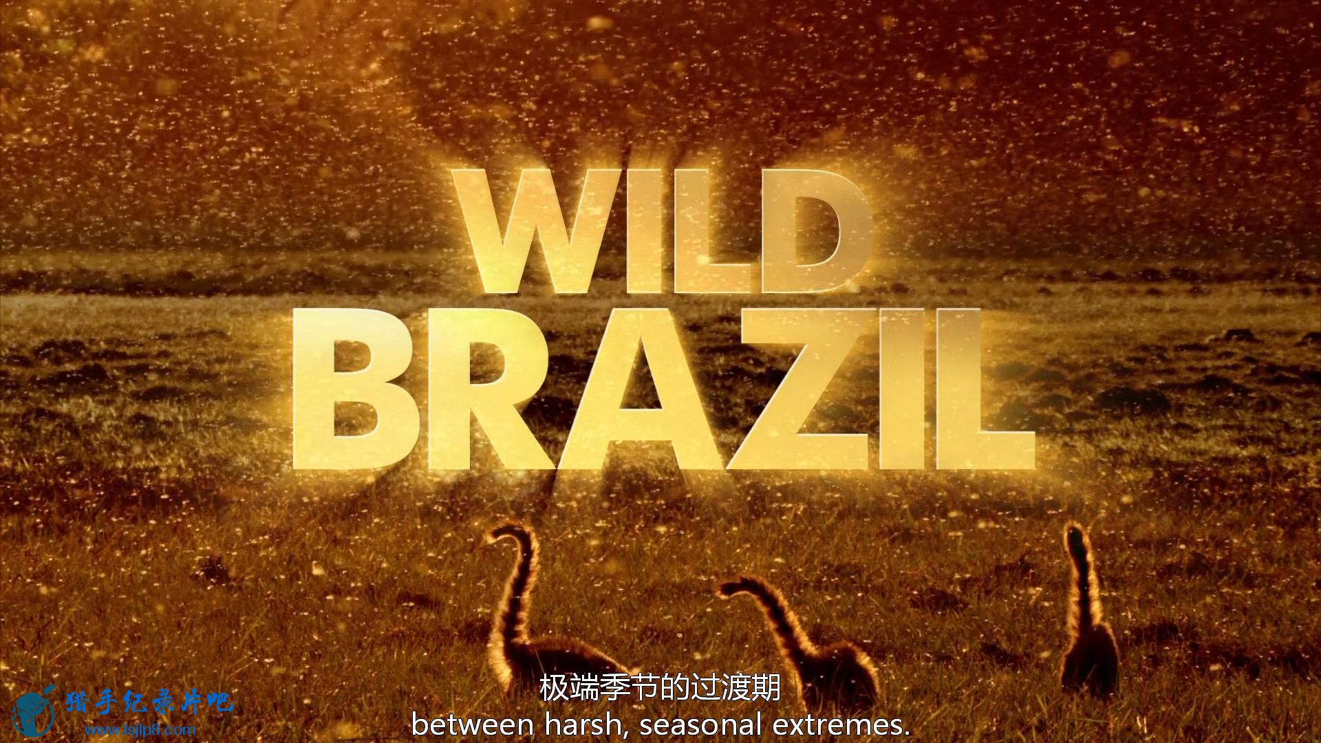Wild.Brazil.S01E01.1080i.HDTV.H.264.DD2.0-CtrlHD_20180429111326.JPG
