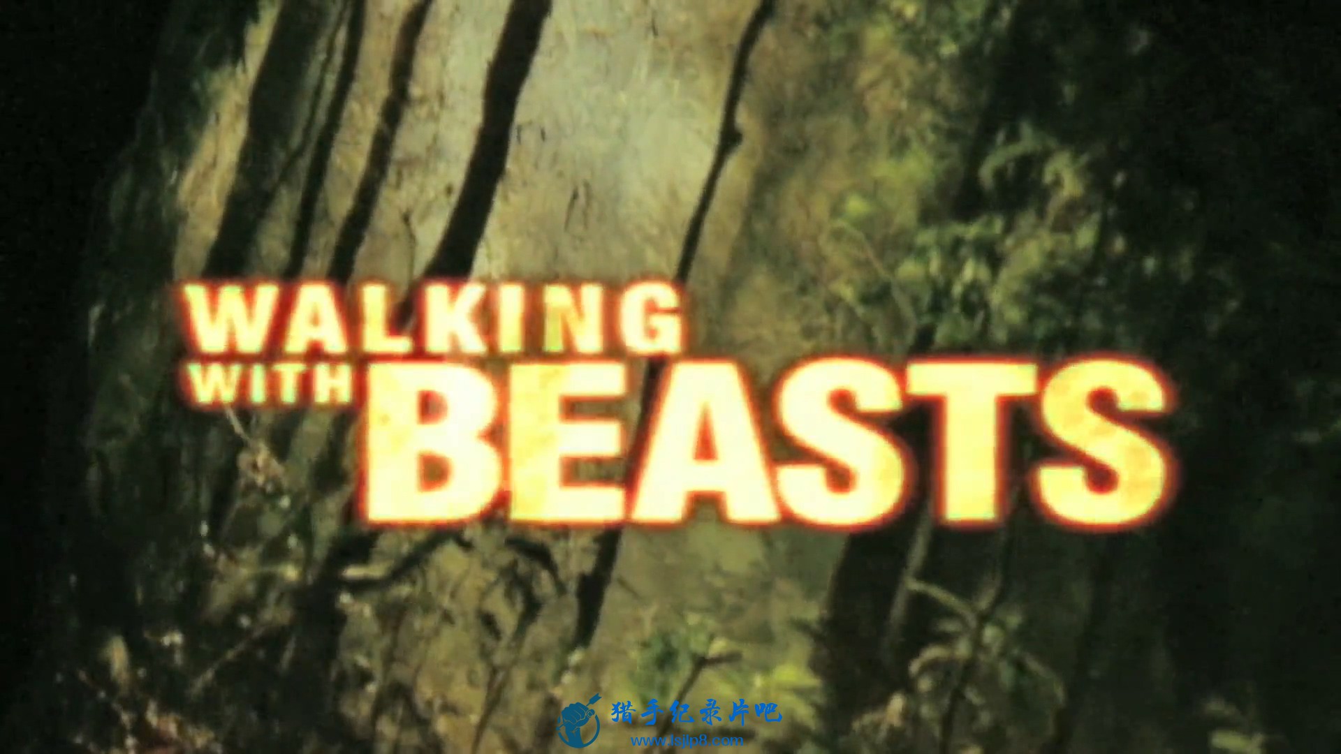 Walking.With.Beasts.1of6.New.Dawn.1080p.HDTV.x264.AAC.MVGroup.org(000004.972-002.jpg