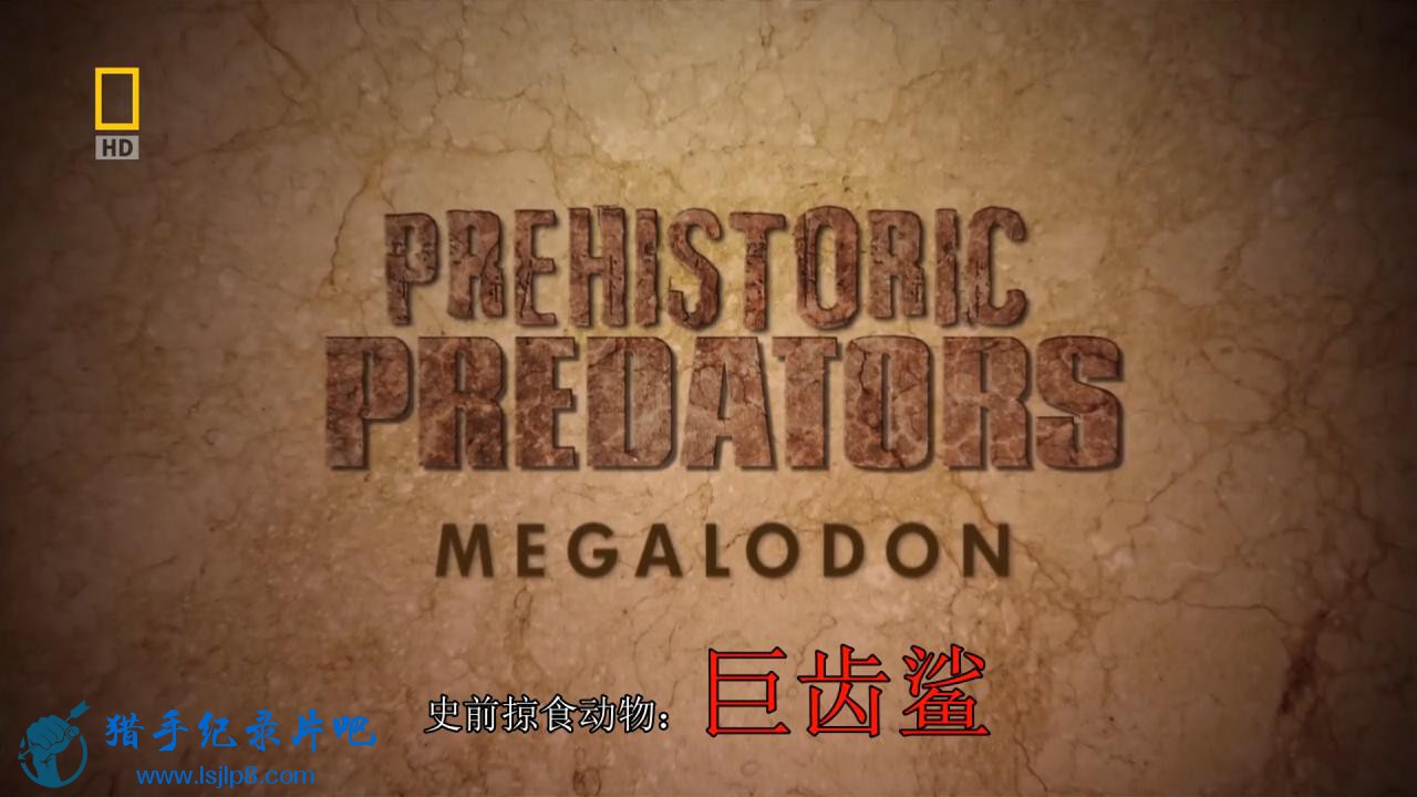 ʷǰʳ޳衿National.Geographic.Prehistoric.PredatorsMegalodon.720.jpg