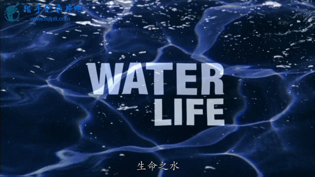 [֮ˮ01-֮ˮ].Water.Life.EP01.A.World.of.Water.2009.BluRay.720p.x264.AC3.jpg