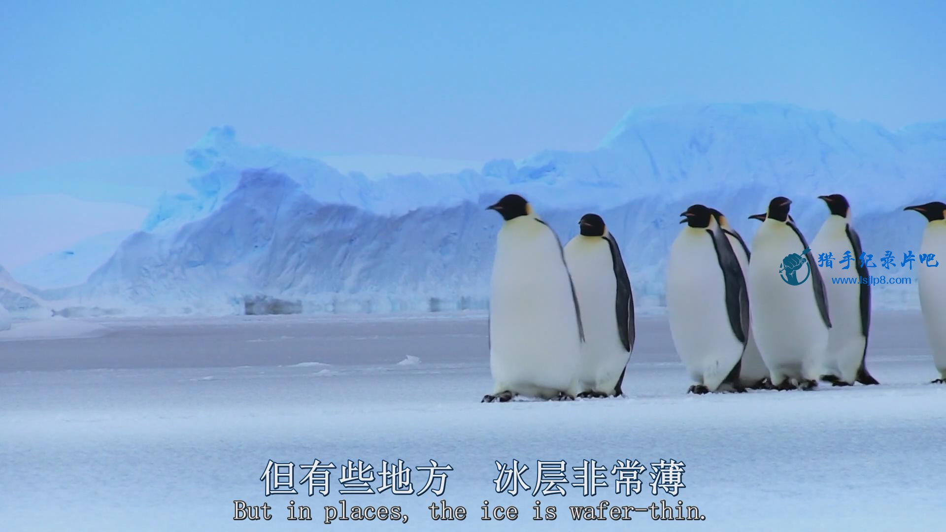 BBC.Snow.Chick.A.Penguins.Tale.1080p.HDTV.x264.AAC.MVGroup.org_20180612213256.JPG