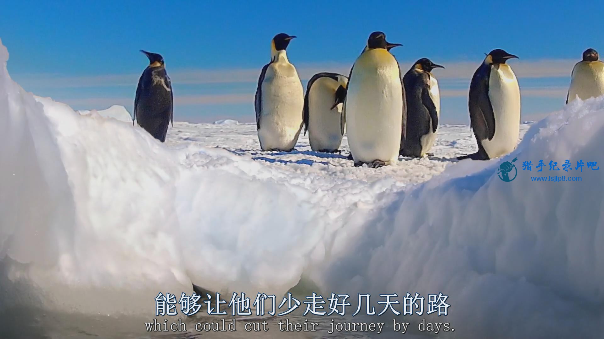 BBC.Snow.Chick.A.Penguins.Tale.1080p.HDTV.x264.AAC.MVGroup.org_20180612213325.JPG