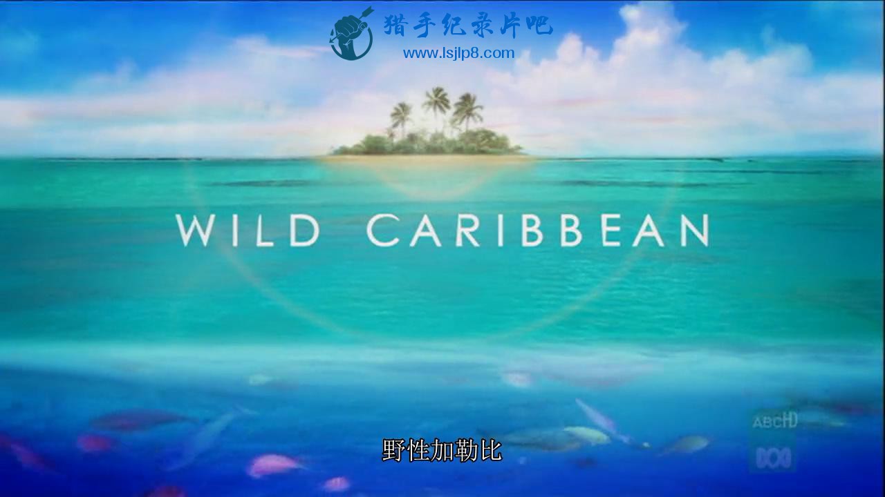 BBC.Wild.Caribbean.1of4.Treasure.Islands.2007.HDTVRip.720p_20180706190540.JPG