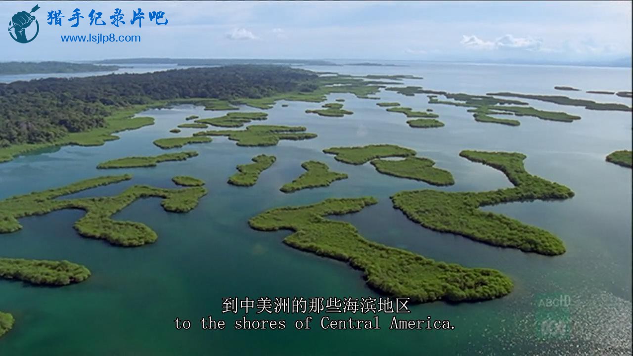 BBC.Wild.Caribbean.1of4.Treasure.Islands.2007.HDTVRip.720p_20180706190632.JPG