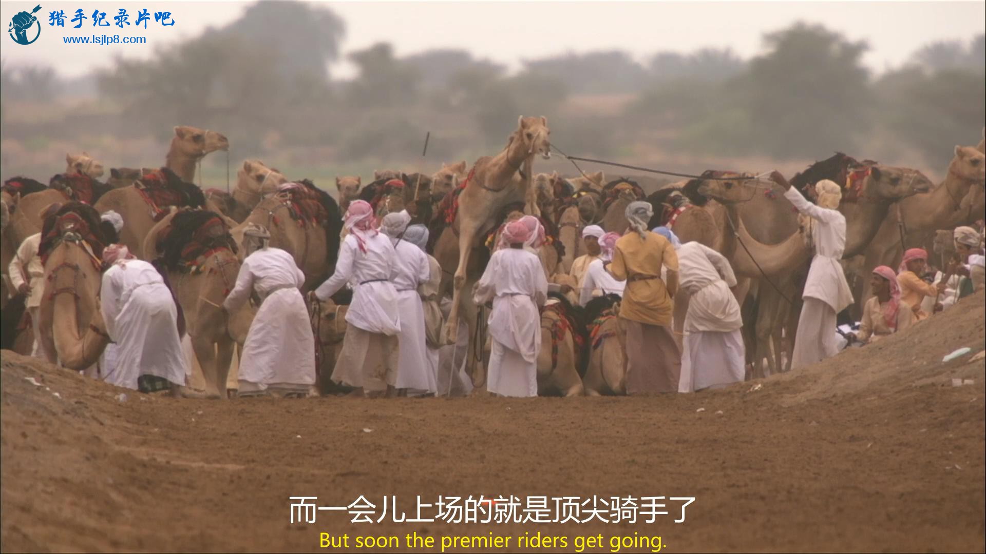 BBC.Wild.Arabia.EP01.2013.BluRay.1080p.AC3.x264-HDL_20180712201905.JPG