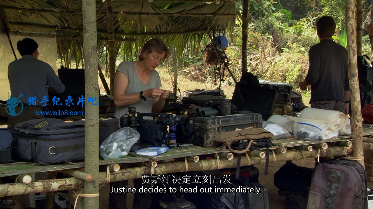 BBC.Wild.Burma.Natures.Lost.Kingdom.EP03.2013.720P.HDTV.x264-FTP_20180714152959.JPG