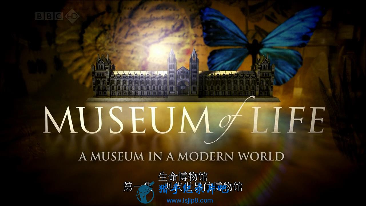 BBC.Museum.of.Life.1of6.A.Museum.in.a.Modern.World.HDTV.x264.AC3.MVGroup.org_201.jpg