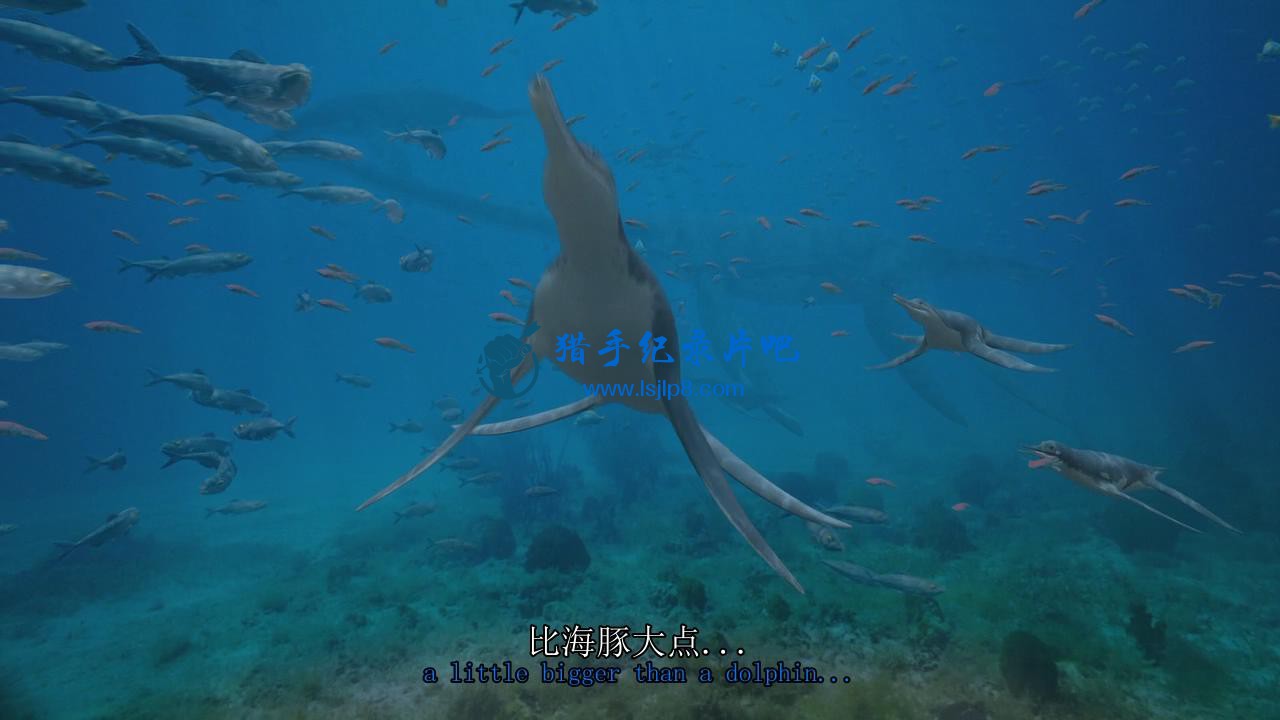 Sea.Monsters.A.Prehistoric.Adventure.x264.720p.AC3.CiNEFiLE_20190220195954.JPG