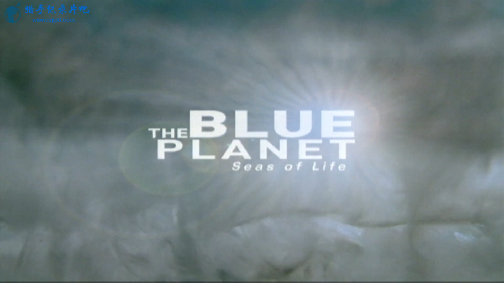 The.Blue.Planet.S01E01.1080p.BluRay.x264-YELLOWBiRD.mkv_20190912_111426.203.jpg