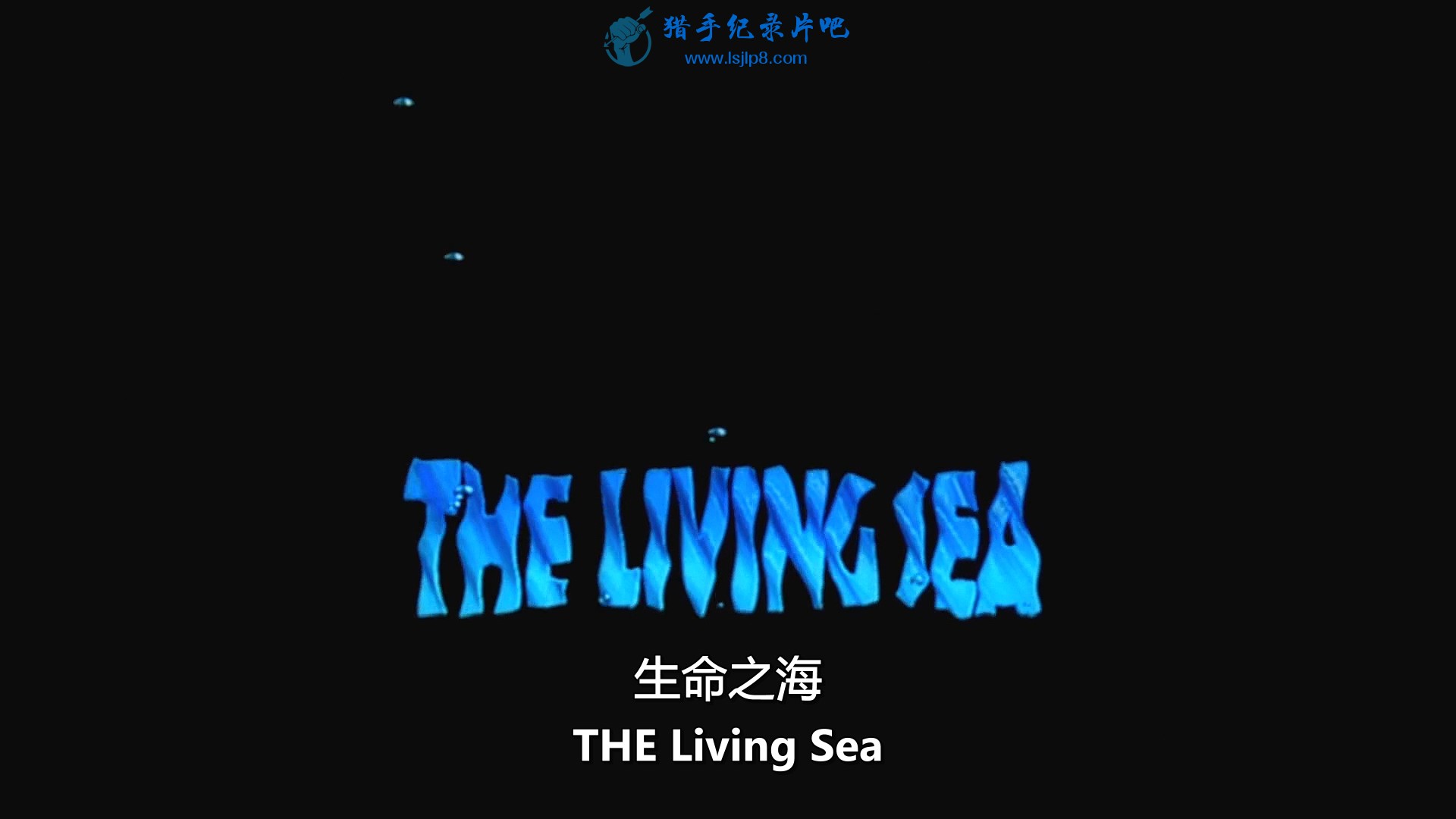 The.Living.Sea.IMAX.Blu-ray.RE.1080.X264.DTS.SiluHD.mkv_20190928_101705.823.jpg