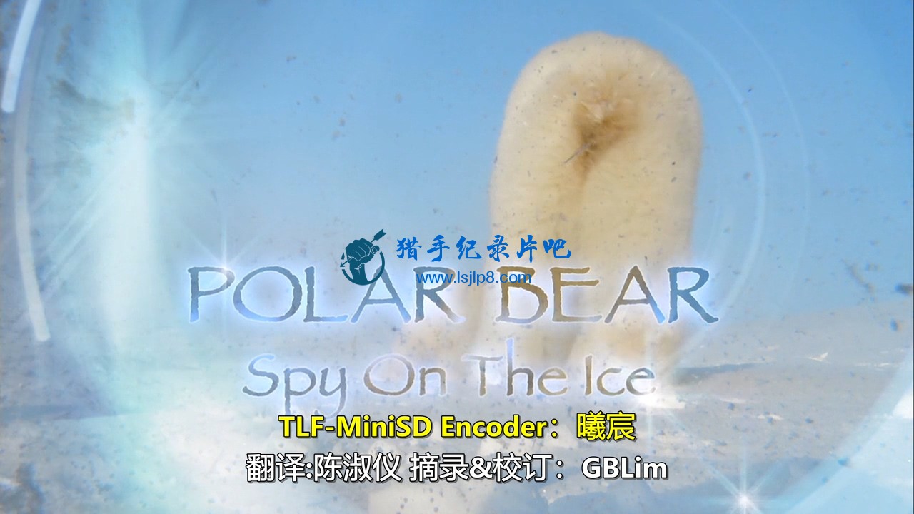 Polar.Bear.Spy.On.The.Ice.I.2010.Blu-ray.720p.x264.DD51.MySilu.mkv_20190929_085456.622.jpg