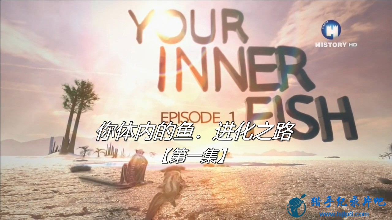 Episode 1.Your Inner Fish.mkv_20191003_102112.088.jpg