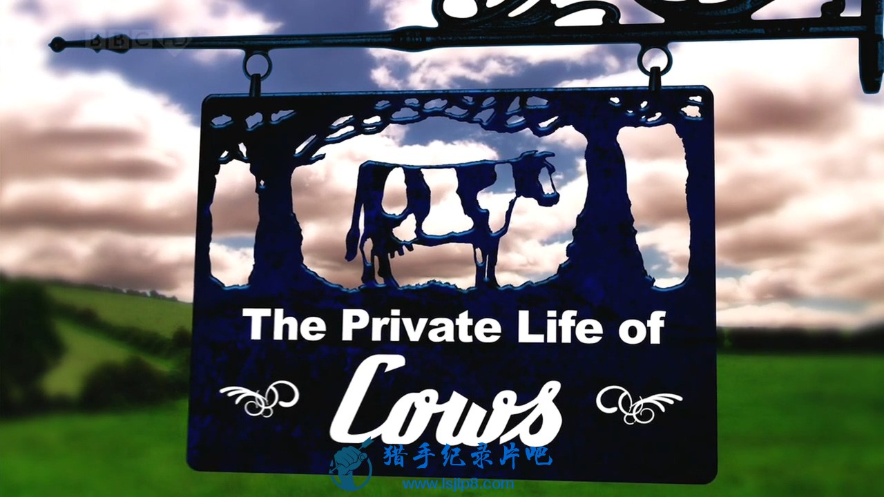  - BBC.The.Private.Life.of.1of3.Cows.HDTV.x264.AC3.MVGroup.mkv_20191007_.jpg