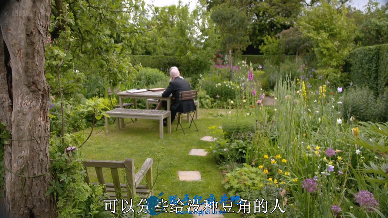 BBC.Everyday.Eden.A.Potted.History.of.the.Suburban.Garden.mkv_20191008_091016.949.jpg