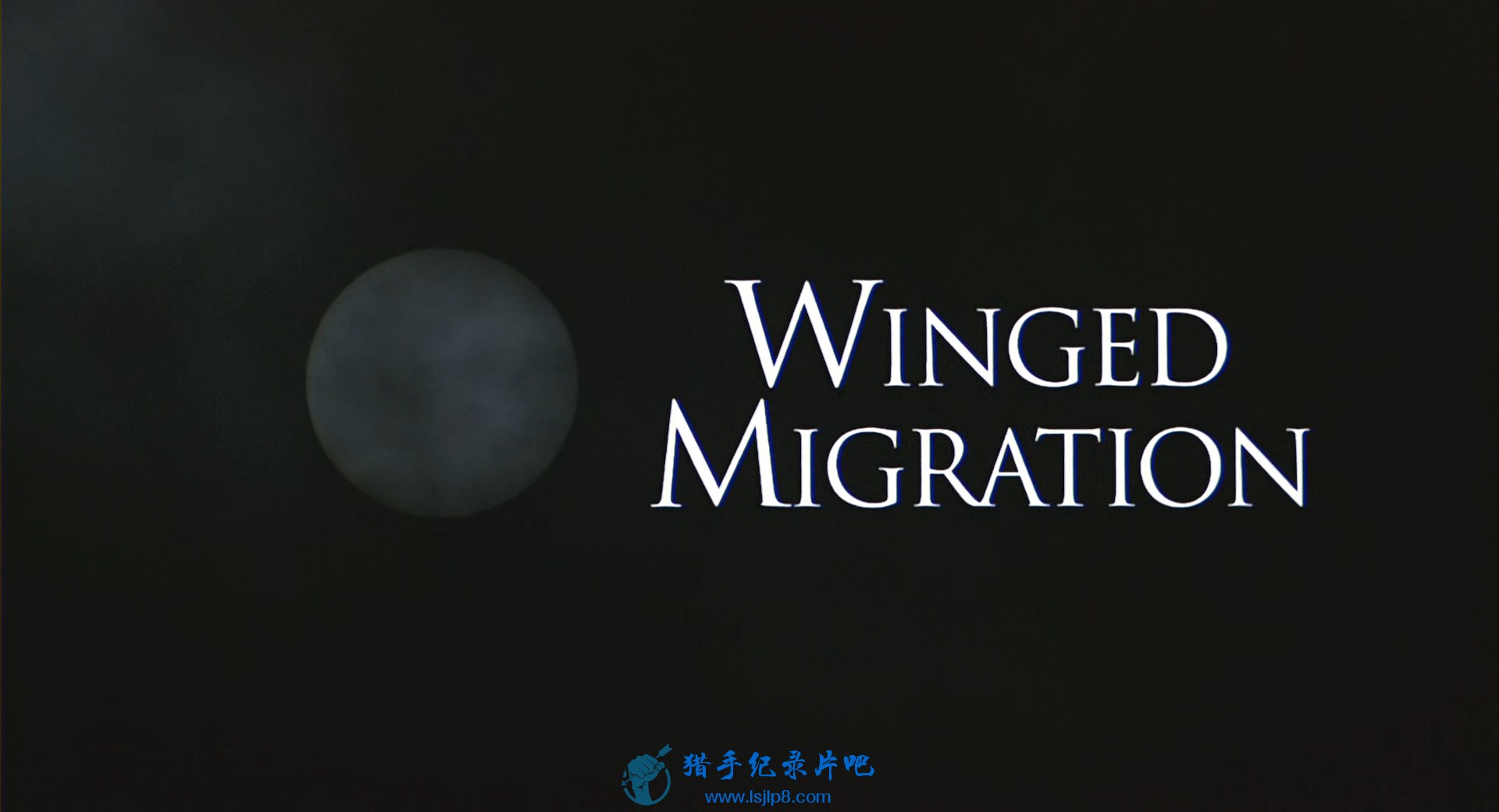 Top142.Ǩ.Winged.Migration.2001.Bluray.1080p.x265.AAC(5.1).5Audios.GREENOT.jpg