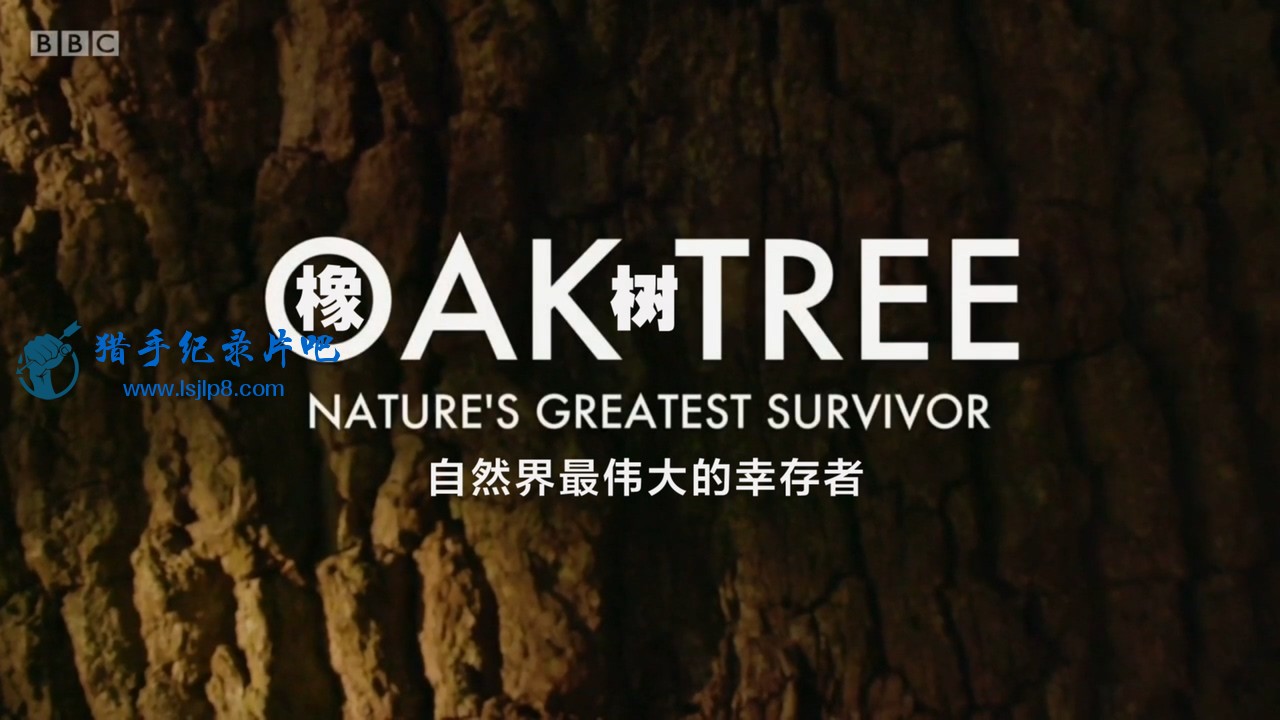 Natures.Greatest.Survivor.720p.iP.WEBRip.AAC2.0.H.264-EsQ.mkv_20191012_093833.482.jpg