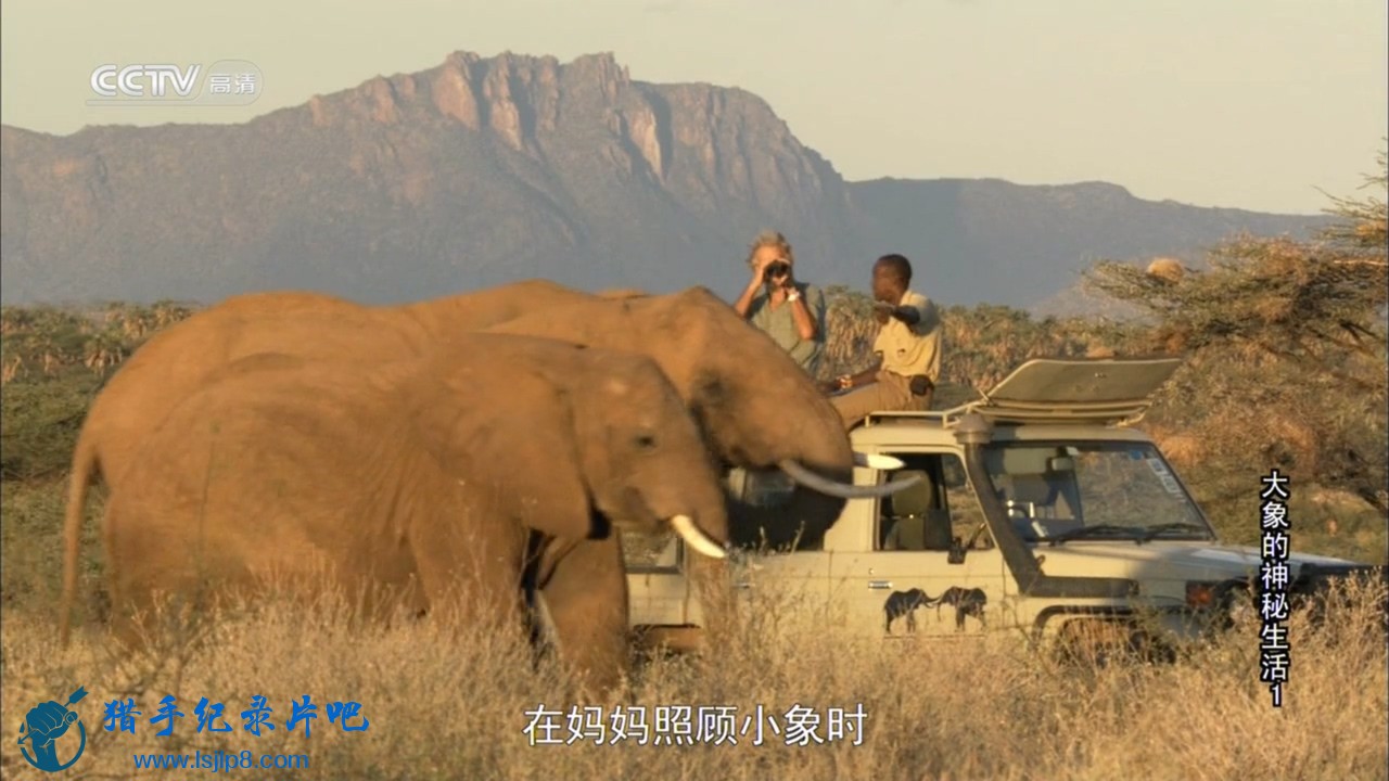 (ȫ3)CCTVHD.The.Secret.Life.of.Elephants.EP01.HDTV.720p.x264.AAC.jpg