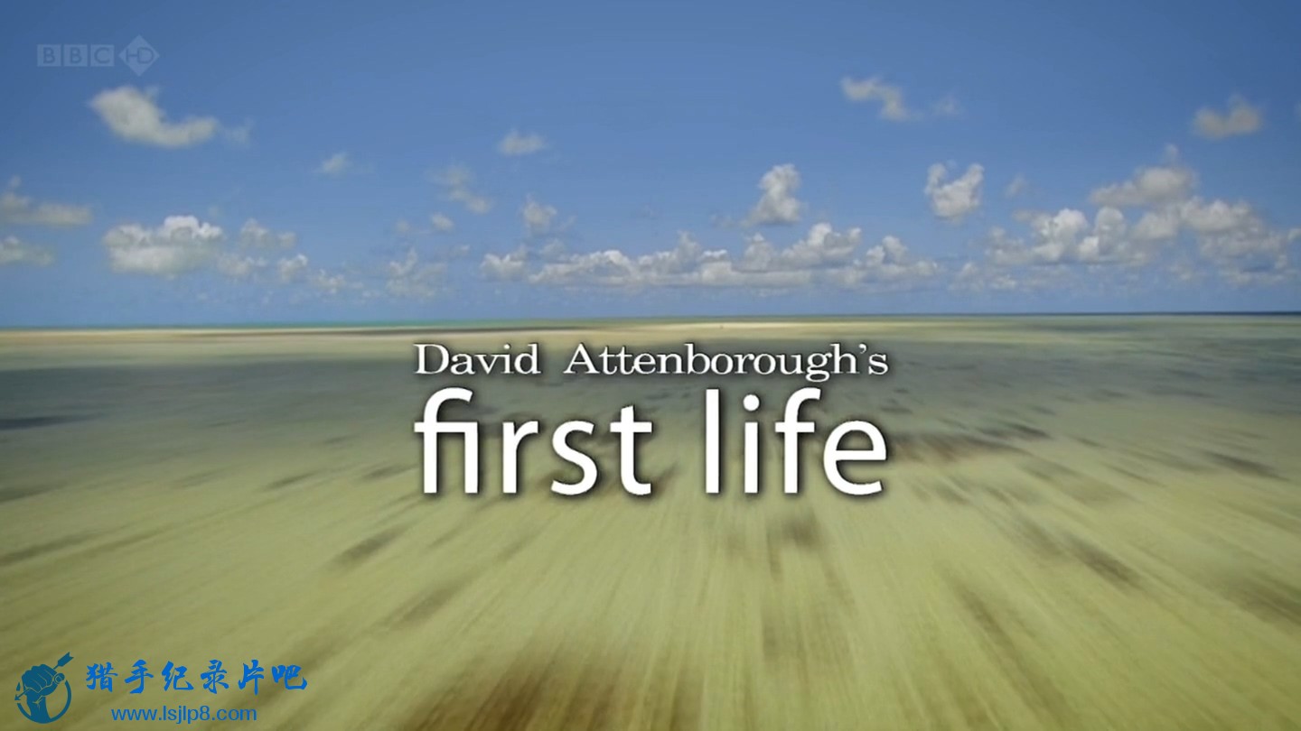 BBC.David.Attenboroughs.First.Life.1of2.Arrival.HDTV.x264.AC3.MVGroup.org.mkv_20.jpg