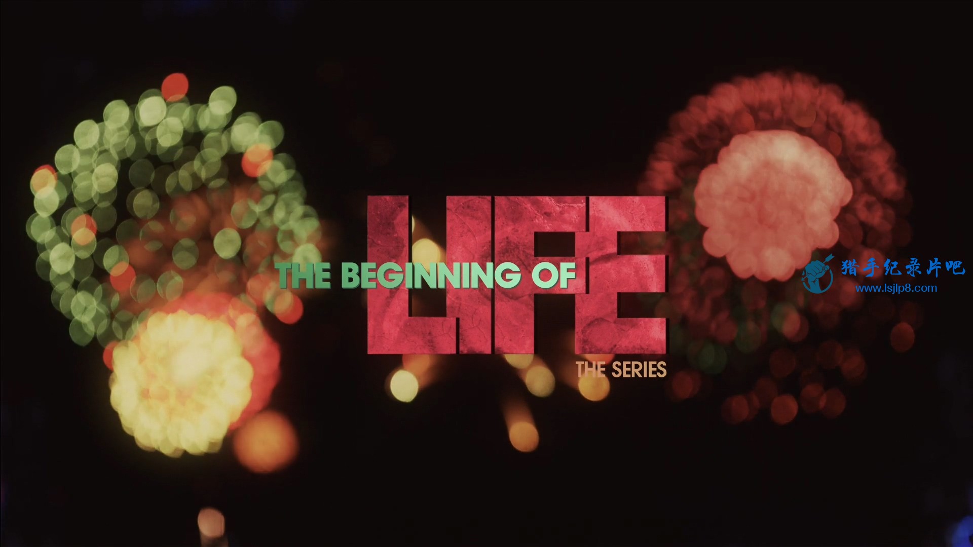 The.Beginning.of.Life.The.Series.S01E01.Fantastic.Baby.1080p.NF.WEB-DL.DD5.1.H.2.jpg