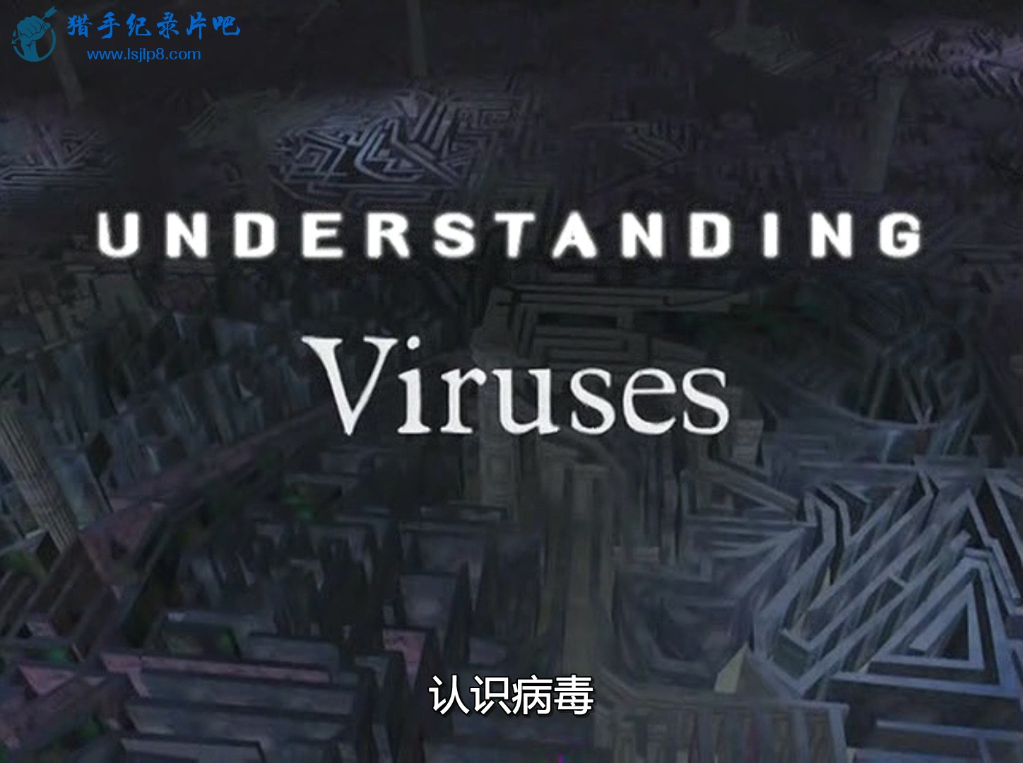 Discovery.Understanding.Viruses.DivX7.AC3.MVGroup.org.avi_20200201_172421.541.jpg