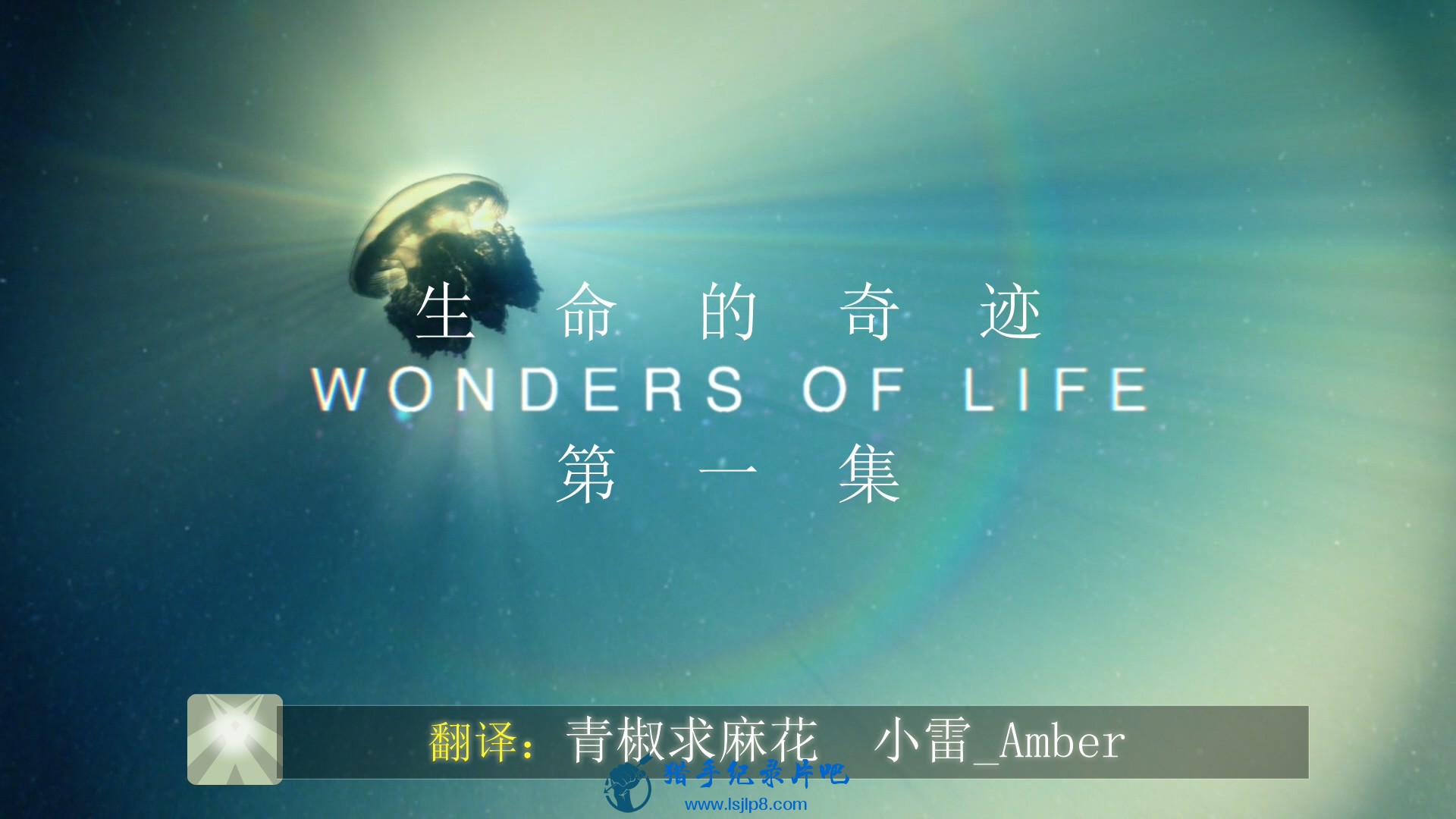 BBC.Wonders.of.Life.S01.2013.EP01.Blu-Ray.1080p.DTS-HD.MA.2.0.x264-beAst.mkv_202.jpg