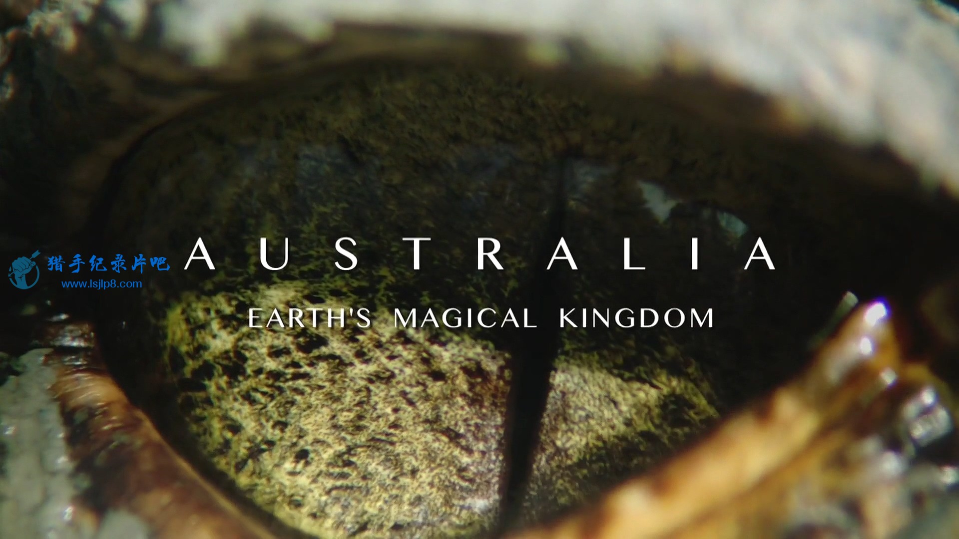 Ұɰ.Australia Earths Magical Kingdom.S01E01.1080p.HDTV.x264.˫ĻУ-.jpg